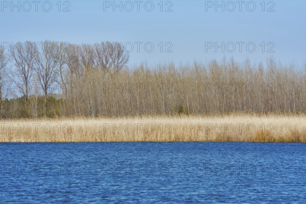 Lakeshore in autumn Bulgaria