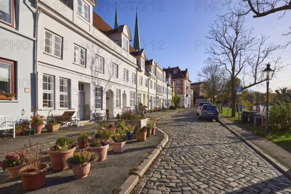 Street An der Obertrave, flower pots with plants, cobblestone pavement, lantern, trees, backlight, Old Town, Hanseatic City of Lübeck, independent city, Schleswig-Holstein, Germany, Europe