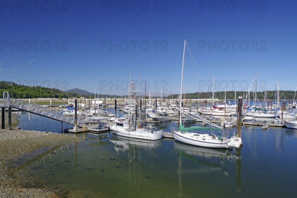 A harbour full of boats and sailboats under a clear blue sky, Cormorant Island, Vancouver Island, National Park, Pacific Ocean, British Columbia, Canada, North America