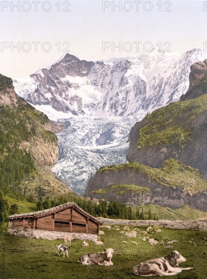 Grindelwald, Chalet und Vischerhorn, Bernese Oberland, Switzerland, Historic, digitally restored reproduction from a 19th century original, Record date not stated, chalet and Vischerhorn, Bernese Oberland, Switzerland, Historic, digitally restored reproduction from a 19th century original, Record date not stated, Europe
