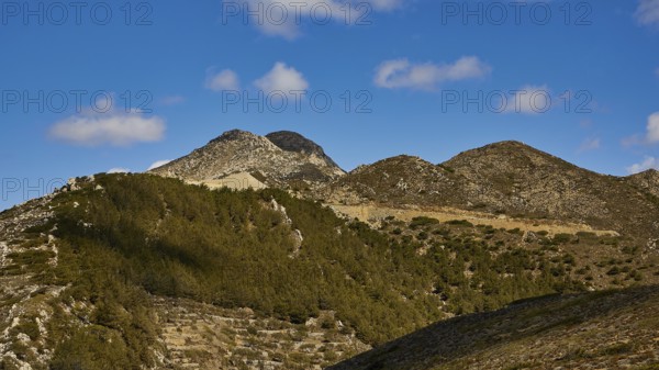 Mountain landscape with wooded hills and blue sky, Northern West Coast, Karpathos, Dodecanese, Greek Islands, Greece, Europe
