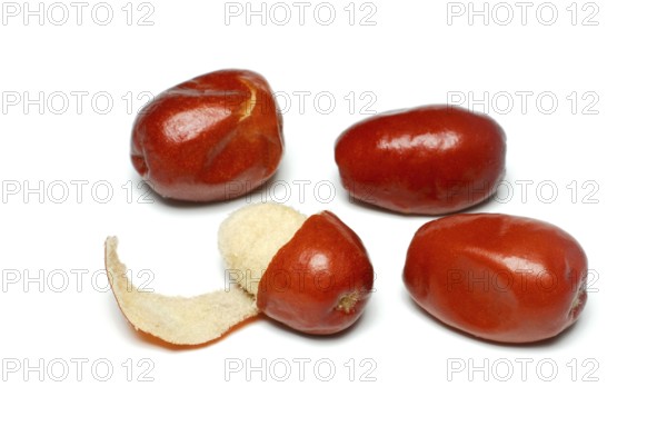 Elaeagnus angustifolia (Elaeagnus angustifolia) Seeds
