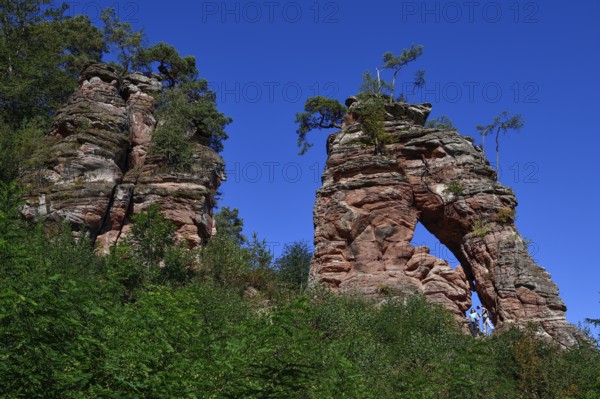 Hiker at the Schillerfelsen, red sandstone rocks on the Dahner Felsenpfad, Dahn, Südwestpfalz district, Rhineland-Palatinate, Germany, Europe