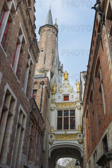 Alley in the historic centre with traditional Flemish architecture, house, facade, craft, architectural style, building, Flemish, European, traditional, Flanders, house facade, Middle Ages, old, historic, well-kept, brick, commercial city, brick facade, living, history, architectural history, Bruges, Belgium, Europe