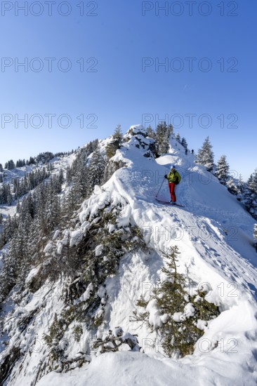 Ski tourers ascending the Teufelsstättkopf, Snow-covered mountain landscape on a mountain ridge, Ammergau Alps, Bavaria, Germany, Europe