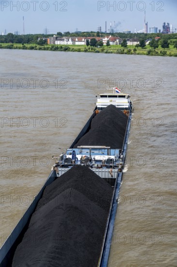 Inland shipping, Dutch cargo ship Privilege brings imported coal, steam coal, from Rotterdam to southern Germany, here on the Rhine at Ruhrort harbour, Duisburg, North Rhine-Westphalia, Germany, Europe