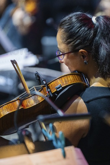 Close-up of a woman playing a violin in the orchestra, concentrated and professional, Klostersommer, Calw Hirsau, Black Forest, Germany, Europe
