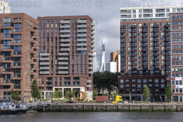 New residential tower blocks in the Katendrecht neighbourhood, Feijenoord district in Rotterdam, on the Maashaven, Netherlands