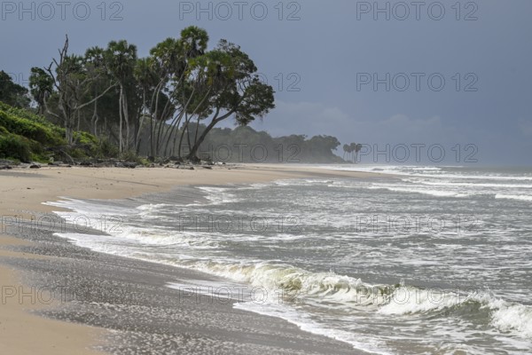Beach, Petit Loango, Loango National Park, Parc National de Loango, Ogooué-Maritime Province, Gabon, Africa