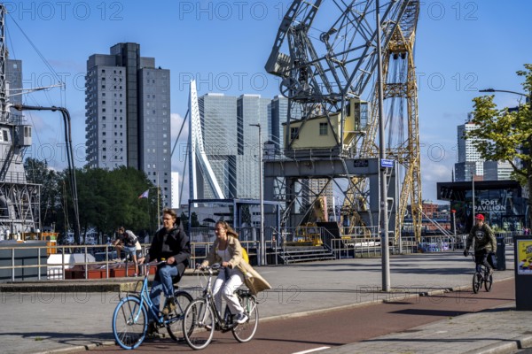 The Maritime Museum, outdoor area in the Leuvehaven, in Rotterdam, many old ships, boats, exhibits from the maritime sector, view of the high-rise buildings at the Kop van Zuid, pillars of the Erasmus Bridge, Netherlands