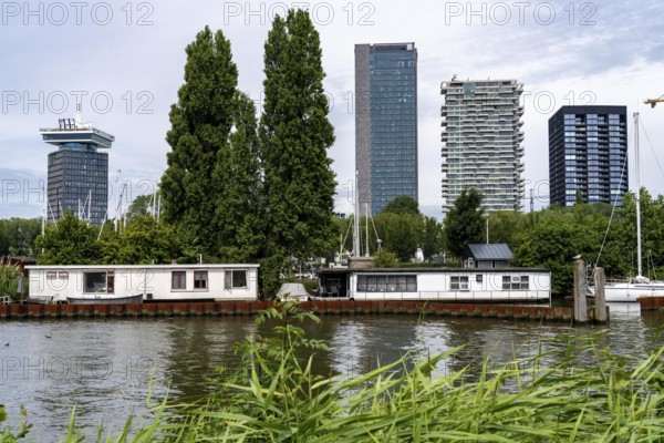 Houseboats at Sixhaven, on the river Ij, behind them high-rise buildings in the Overhoeks neighbourhood, Amsterdam, Netherlands