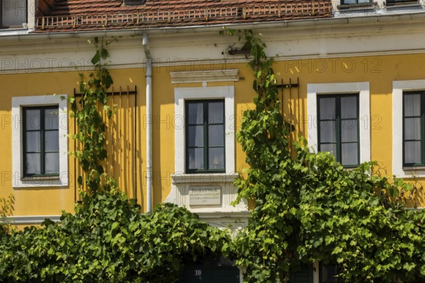 Listed Wieck House in Loschwitz, Friedrich-Wieck-Straße 10, Dresden Loschwitz, Dresden, Saxony, Germany, Europe