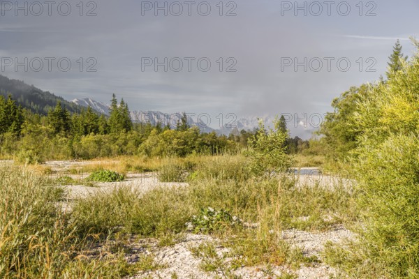 Isar valley nature conservancy area on an early sunny morning. The wild Isar river flows through its gravel bed past driftwood and entrained trees and bushes