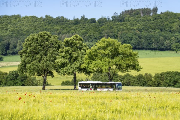 Country road between Hirschberg and Warstein, local bus, public transport, bus transport, Sauerland, North Rhine-Westphalia, Germany, Europe