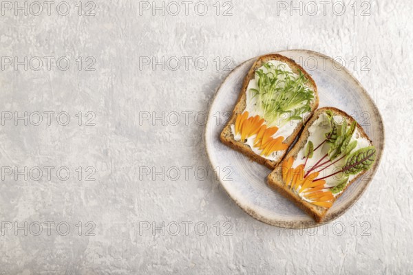 White bread sandwiches with cream cheese, calendula petals and microgreen on gray concrete background. top view, flat lay, copy space