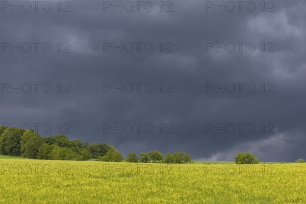 Heavy rain showers and thunderstorms over Possendorf in the Eastern Ore Mountains, Possendorf, Saxony, Germany, Europe