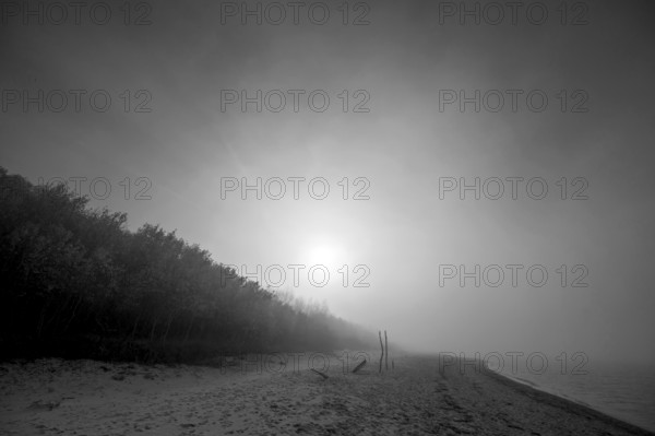 Sun in the morning mist on the Baltic Sea, Mecklenburg-Western Pomerania, Germany, Europe