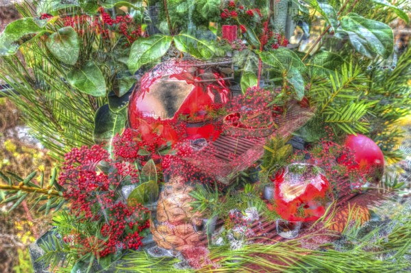 Christmas arrangement, Advent arrangement, Christmas motif, Christmas, Christmas, Christmas festival, Advent season, red Christmas baubles, jewellery, Advent season, artistic photograph, alienation, Christmas decoration, Christmas card motif, fir cones, fir branches, creative photography, Japanese fruit skimmia (skimmia japonica), evergreen perennial, red flowers, Germany, Europe