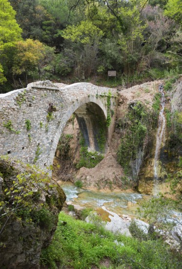 Ancient stone bridge with arch over a river in a wooded landscape, bridge of Platanias over the river Neda, Peloponnese, Greece, Europe