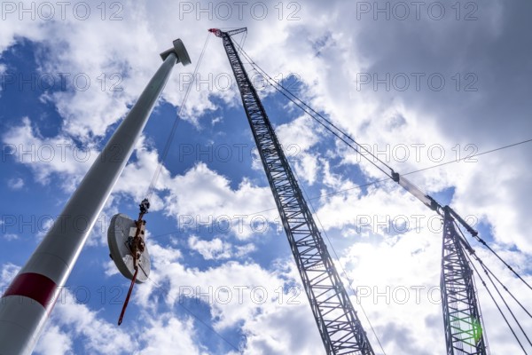 Erection of a wind turbine, wind energy plant, assembly of the ring generator, with a crawler lattice crane, wind farm near Hagen, North Rhine-Westphalia, Germany, Europe