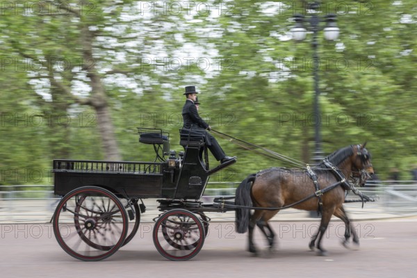 Horse-drawn carriage, Trooping the colour, military parade in June in honour of the British monarch's birthday, The Mall, London, England, Great Britain