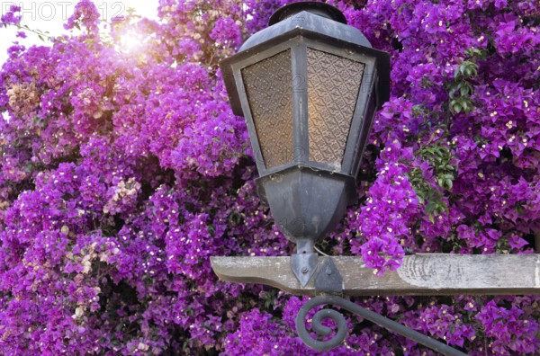 Uruguay, colonial streets of Colonia Del Sacramento in historic center of Barrio Historico, South America