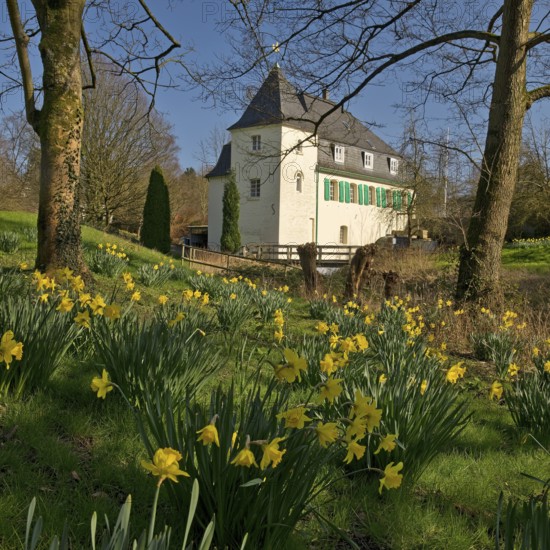 Goldberg Mill in spring, historical sight, Mettmann, Bergisches Land, North Rhine-Westphalia, Germany, Europe