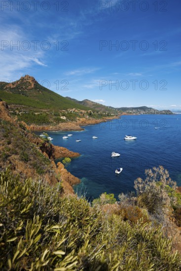 Coast and red rocks, Massif de l'Esterel, Esterel Mountains, Département Var, Région Provence-Alpes-Côte d'Azur, France, Europe