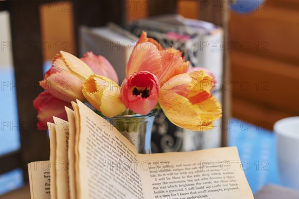 Nosegay of tulips (Tulipa) beside an open book, Germany, Europe