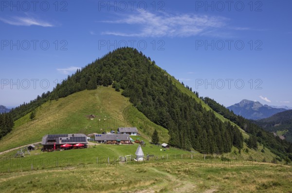 Oberwiesalm with Faistenauer Schafberg, Osterhorn group, Salzkammergut, Salzburg province, Austria, Europe