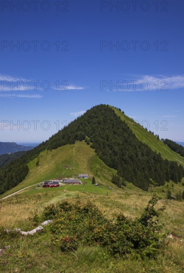 Oberwiesalm with Faistenauer Schafberg, Osterhorn group, Salzkammergut, Salzburg province, Austria, Europe
