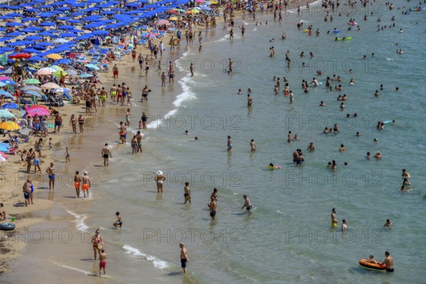 Many tourists at Playa Levante, Benidorm, Alicante province, Costa Blanca, Spain, Europe