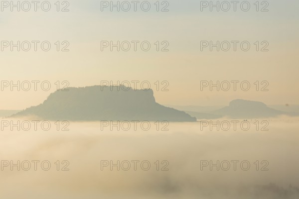 Lilienstein in the morning mist