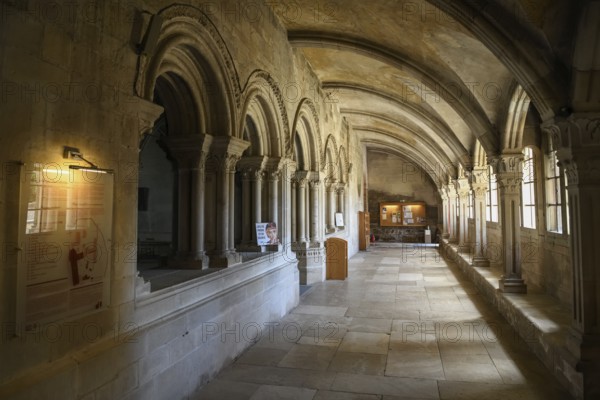 Cloister of the early Gothic basilica of Sainte-Marie-Madeleine, Vézelay, Yonne department, Bourgogne-Franche-Comté region, Burgundy, France, Europe