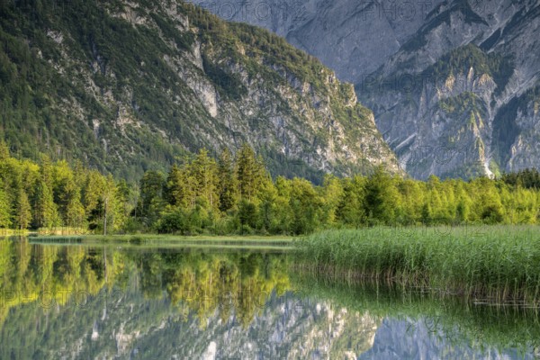 Almsee with reflection, Grünau, Almtal, Salzkammergut, Upper Austria, Austria, Europe