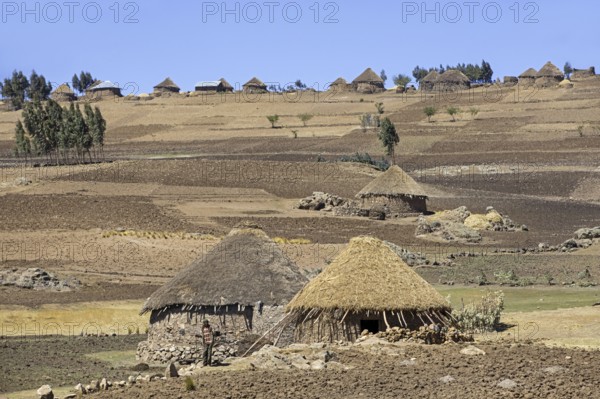 Farmer in front of traditional round stone huts with thatched roofs in the Ethiopian highlands, Lasta Amhara Region, Ethiopia, Africa