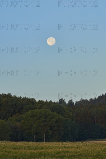 Sunrise with the moon in the sky above fields and forests, Upper Palatinate, Bavaria, Germany, Europe