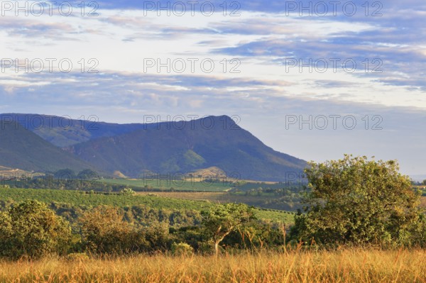 Serra da Canastra Moutainscape, Minas Gerais state, Brazil, South America