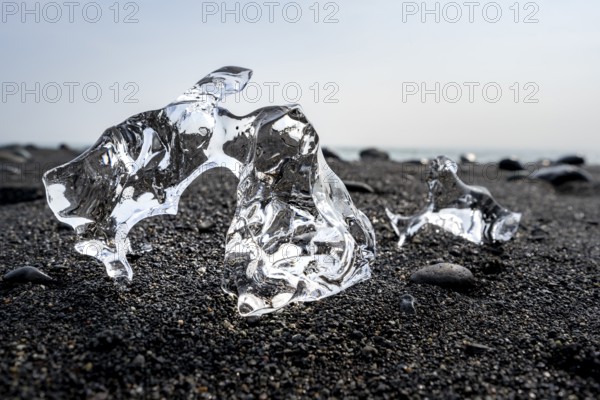 Ice, pieces of ice on black sand beach, on black lava beach Diamond Beach, Southeast Iceland, Iceland, Europe
