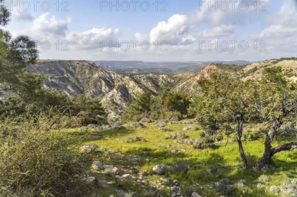 Landscape at Cape Aspro near Pissouri, Cyprus, Europe