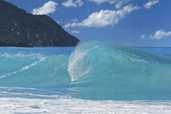 Big wave breaking on the beach at Josiah's Bay, surfing paradise on the island Tortola, British Virgin Islands, Lesser Antilles, Caribbean Sea, North America