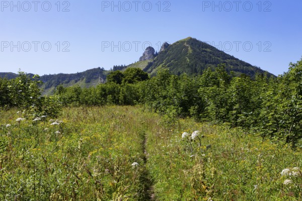 Mountain landscape, hiking trail from the Feichtensteinalm to the Regenspitz, Osterhorngruppe, Salzkammergut, Land Salzburg, Austria, Europe