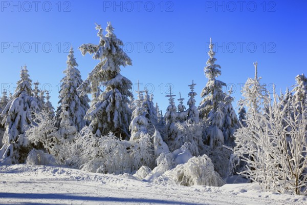 Winter landscape in the Fichtelgebirge, Bayreuth district, Upper Franconia, Bavaria, Germany, Europe