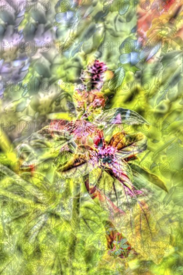 Oil painting, red flowers creative, different plants mixed, artistic shot, alienated flowers, plants, impressionistic art style, allover, soft, glazing, overlapping, alienation, dense flower field, soft colours, green leaves, carpet of flowers, sea of flowers, garden, bed, plants, Germany, Europe