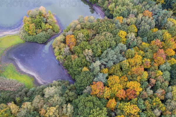 Mixed forest in autumn, colouring, aerial view, forest, autumnal, Ahlhroner Fischteiche, Niedersächsische Landesforst, Ahlhorn, Lower Saxony, Germany, Europe