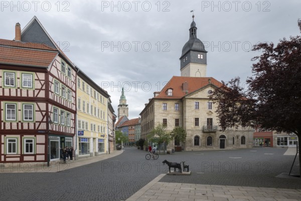 Bad Langensalza, historic old town, goat sculptures in front of the town hall, Thuringia, Germany, Europe