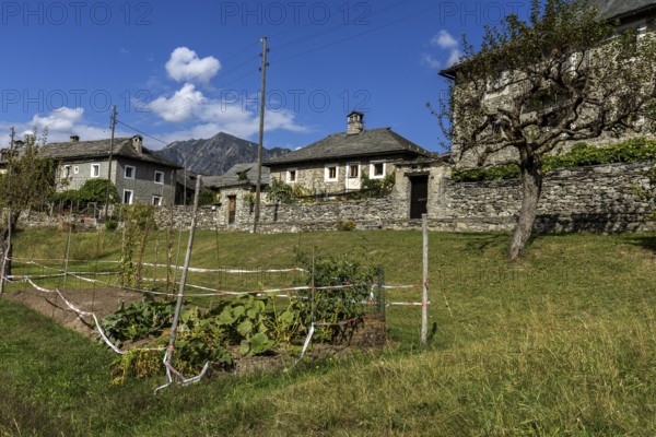 View of the village, typical Ticino stone houses in the mountain village of Rasa, Centovalli, Canton Ticino, Switzerland, Europe
