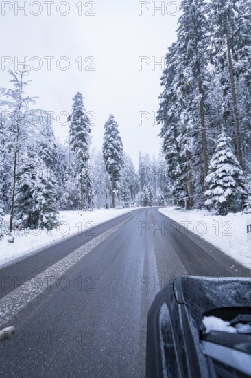 Snowy road through a wintry forest with tall trees, Enzklösterle, district of Calw, Black Forest, Germany, Europe