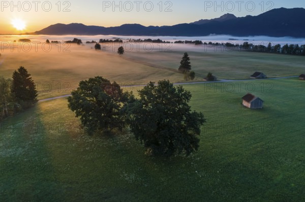 Aerial view of meadows and trees in front of mountains against the light, sunrise, fog, autumn, Loisach-Lake Kochel moors, Alpine foothills, Upper Bavaria, Bavaria, Germany, Europe