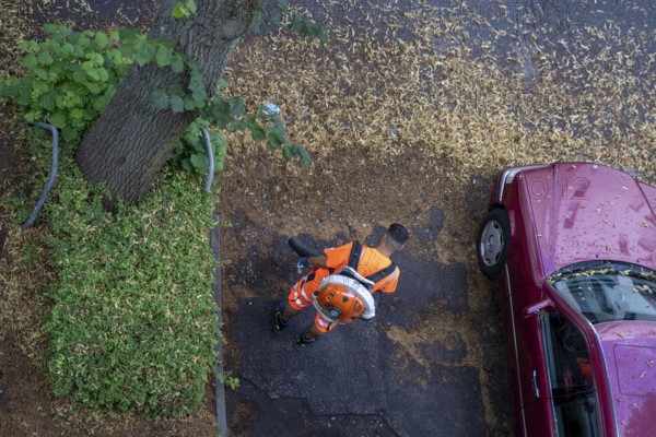 Street cleaning, an employee of the municipal city cleaning service, cleans pavements and parking bays, with a leaf blower, in summer, from tree blossoms, Essen, North Rhine-Westphalia, Germany, Europe
